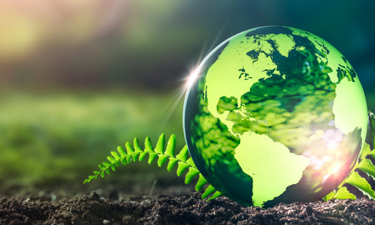 成功案例banner圖手機端